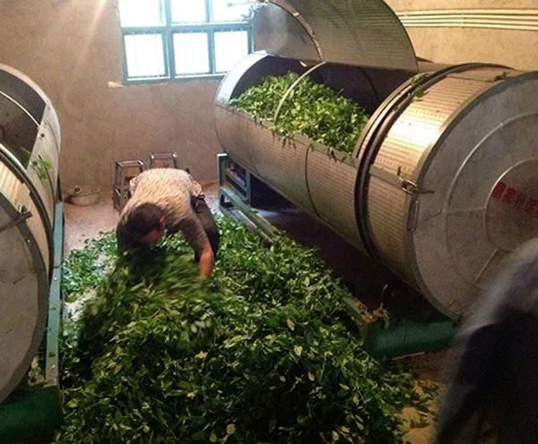 Обробка чорного чаю