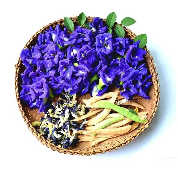 Butterfly Pea Tea