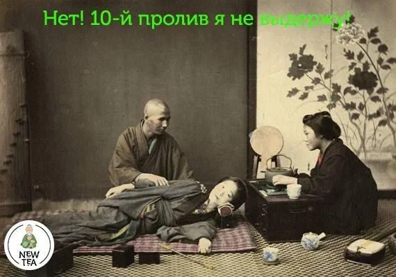 Фанаты пуэра