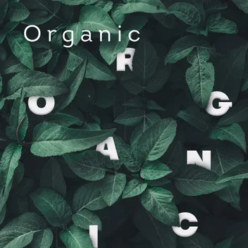 Organic чаї