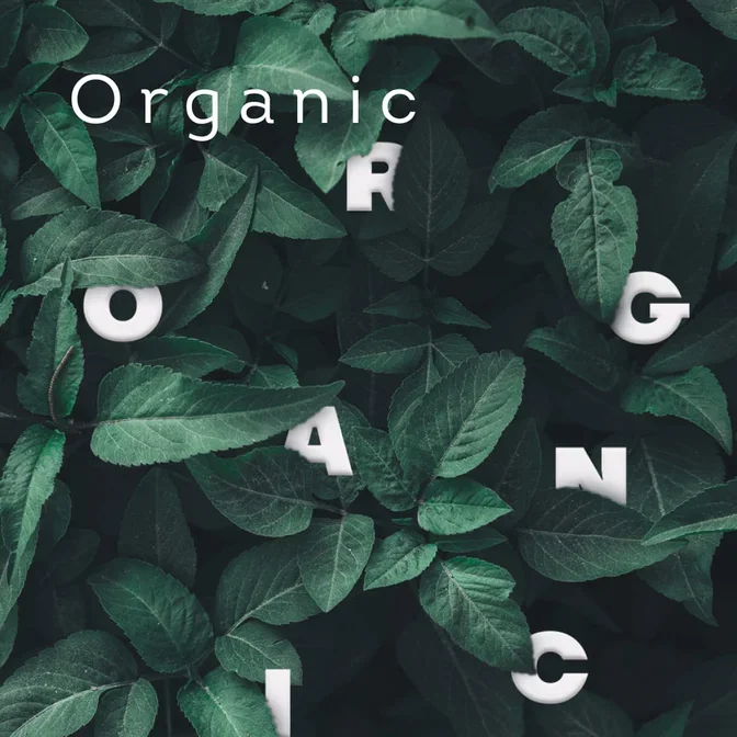 Organic чаи