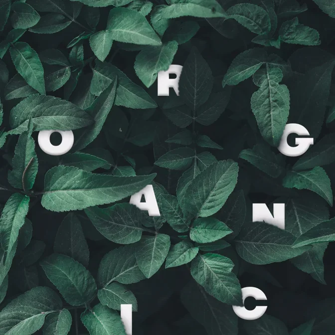 Organic чаи